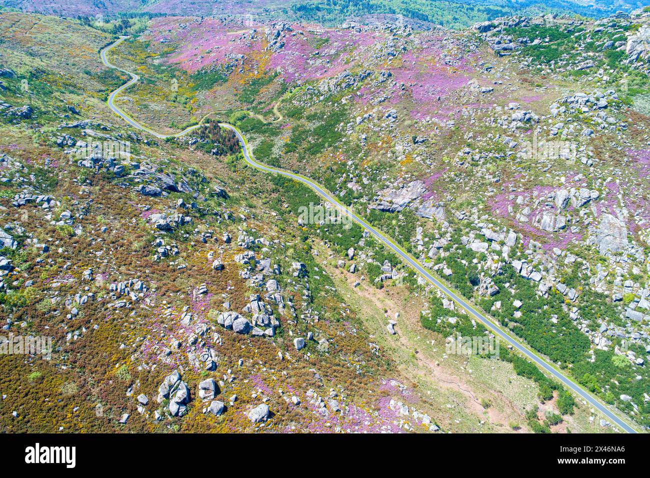 Drone aerial view of a curvy road in a mountainous area in springtime. Galicia, Spain. Stock Photo