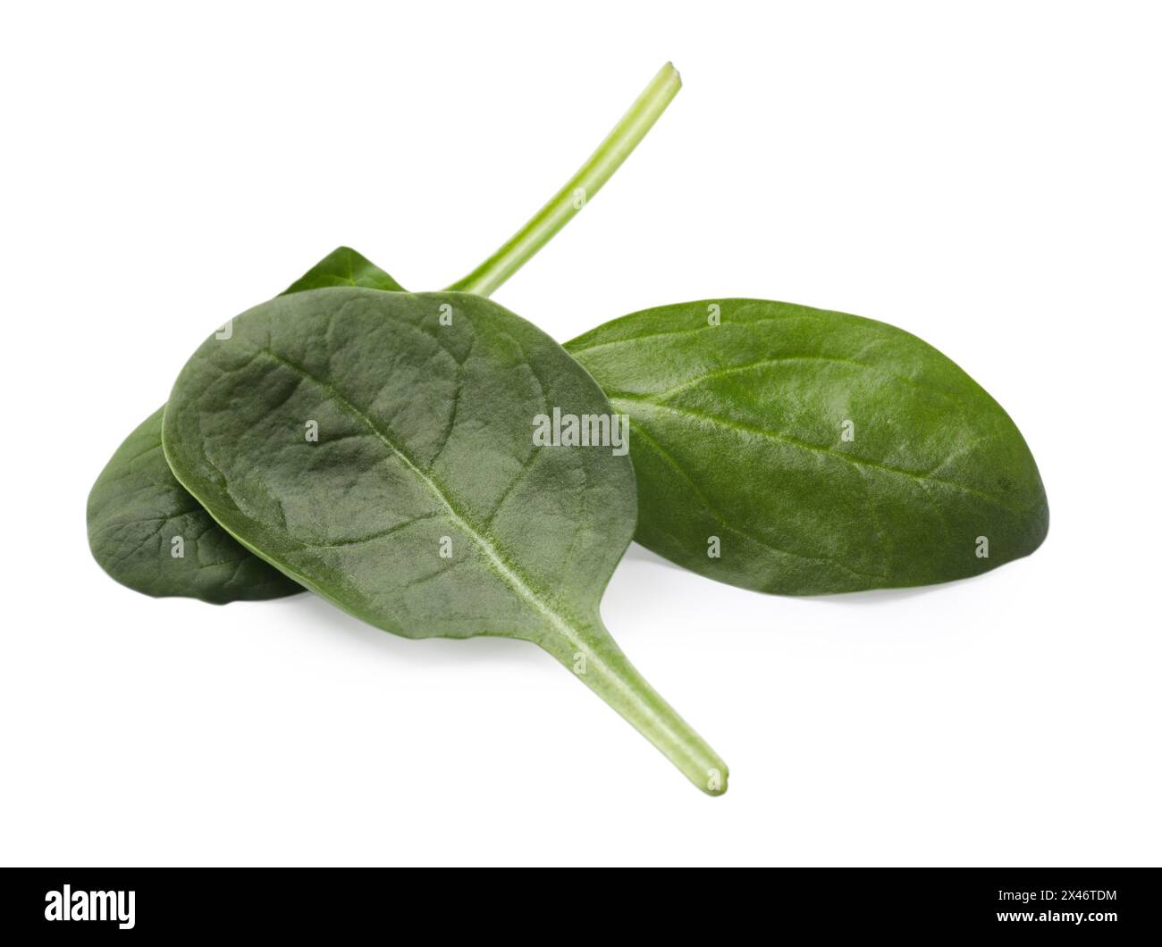 Three fresh spinach leaves isolated on white Stock Photo - Alamy