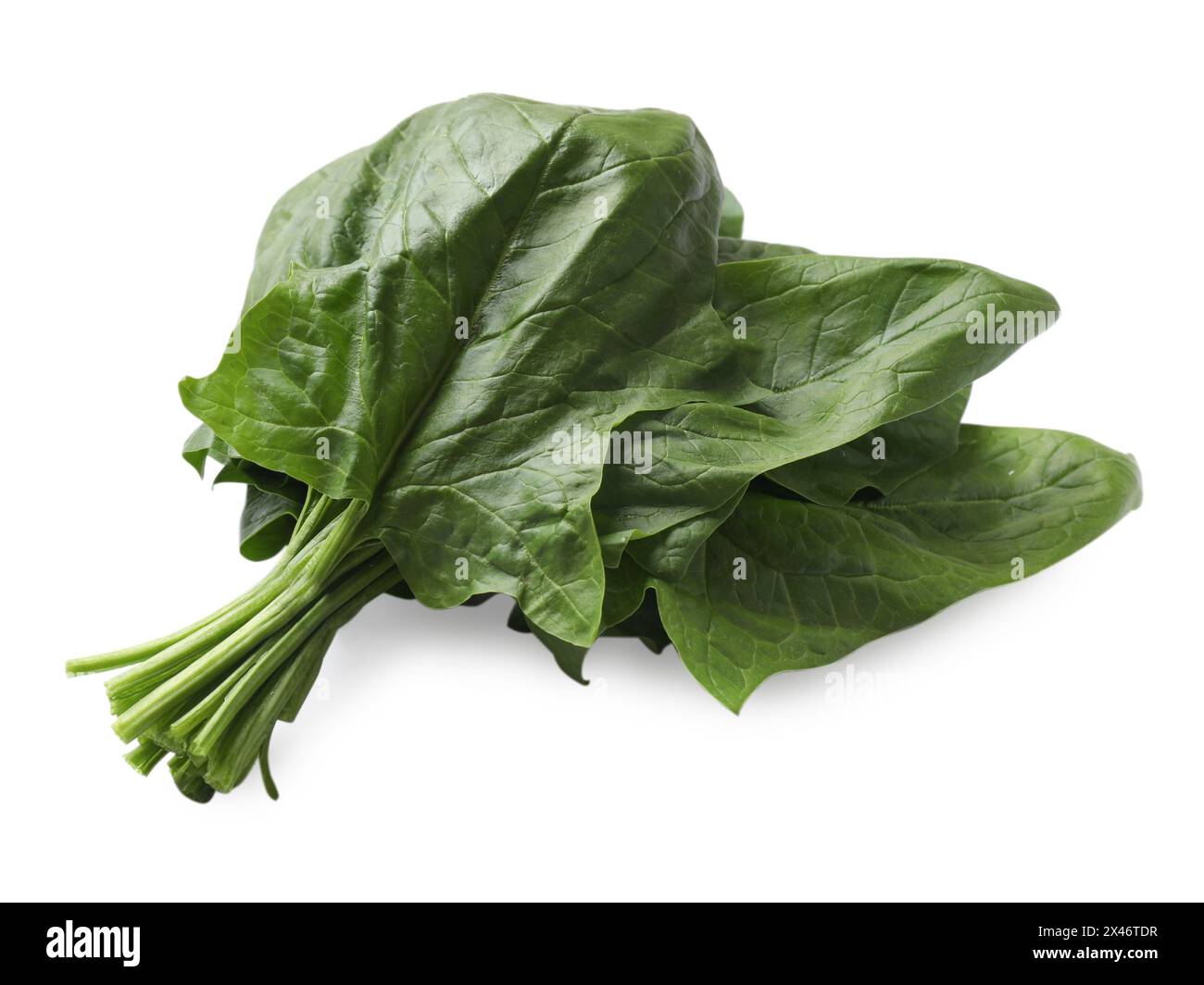 Bunch of fresh spinach leaves isolated on white Stock Photo - Alamy
