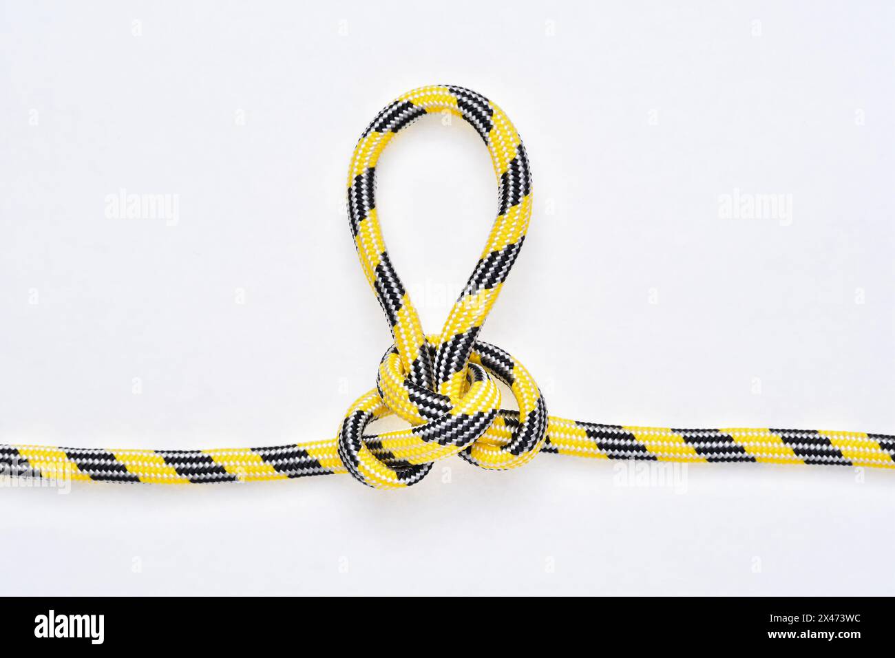 Alpine Butterfly Loop knot on yellow and black nylon rope on white ...