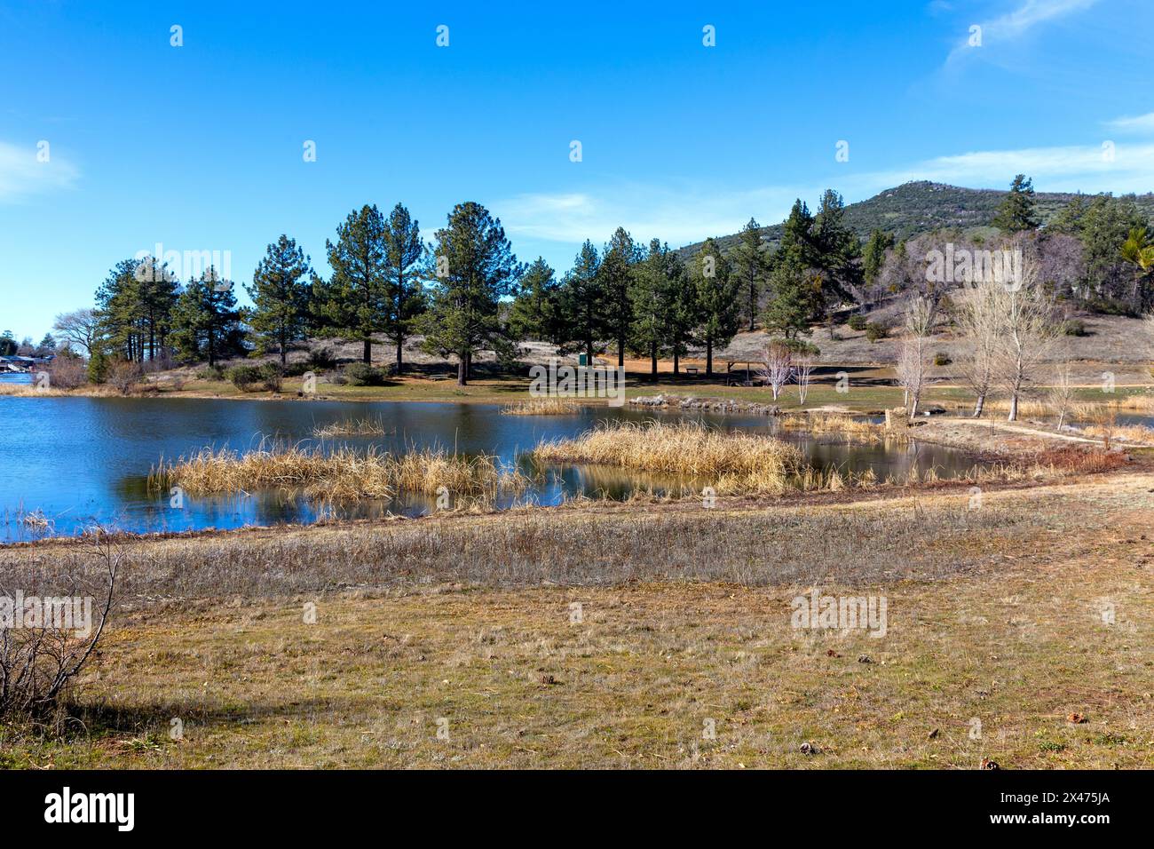 Lake Cuyamaca and Prairie Grassland Scenic Landscape View, Blue Sky.  Cuyamaca Rancho California State Park Sunny Winter Day Hiking Southwest US Stock Photo