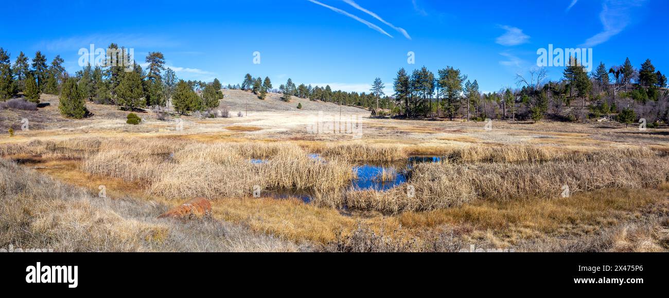 Cuyamaca Rancho California State Park Historic Stonewall Mine Minshall Hiking Trail. Panoramic Landscape Southwest US Plains Prairie Meadow Grassland Stock Photo