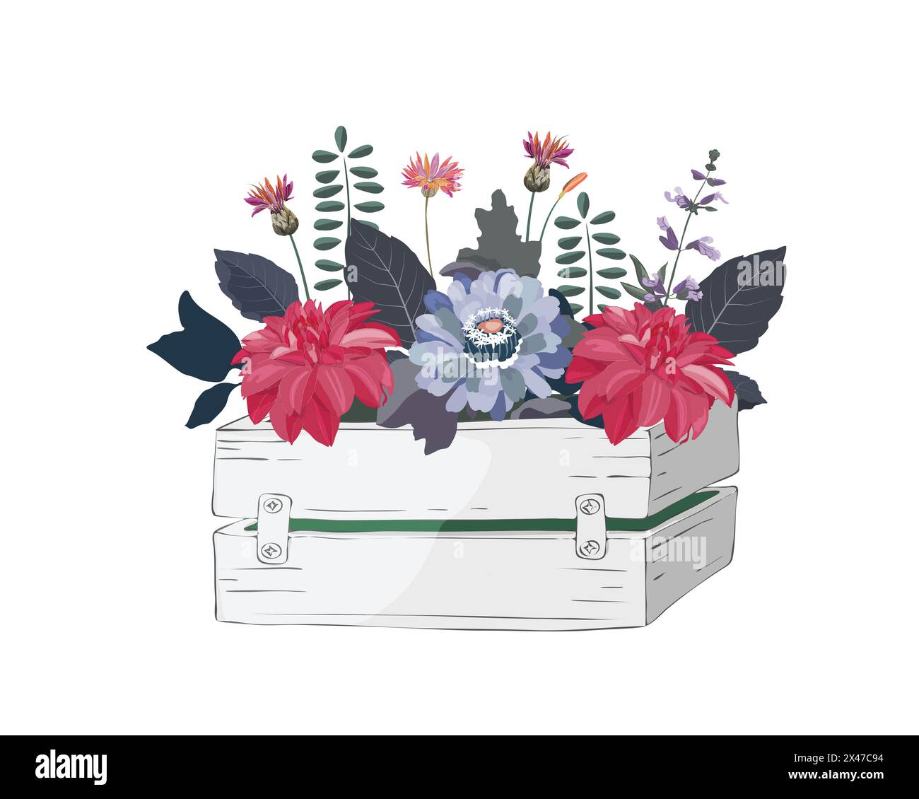 Vector flowers and herbs in a garden wooden white box. Zinnias, dahlias and cornflowers Stock Vector