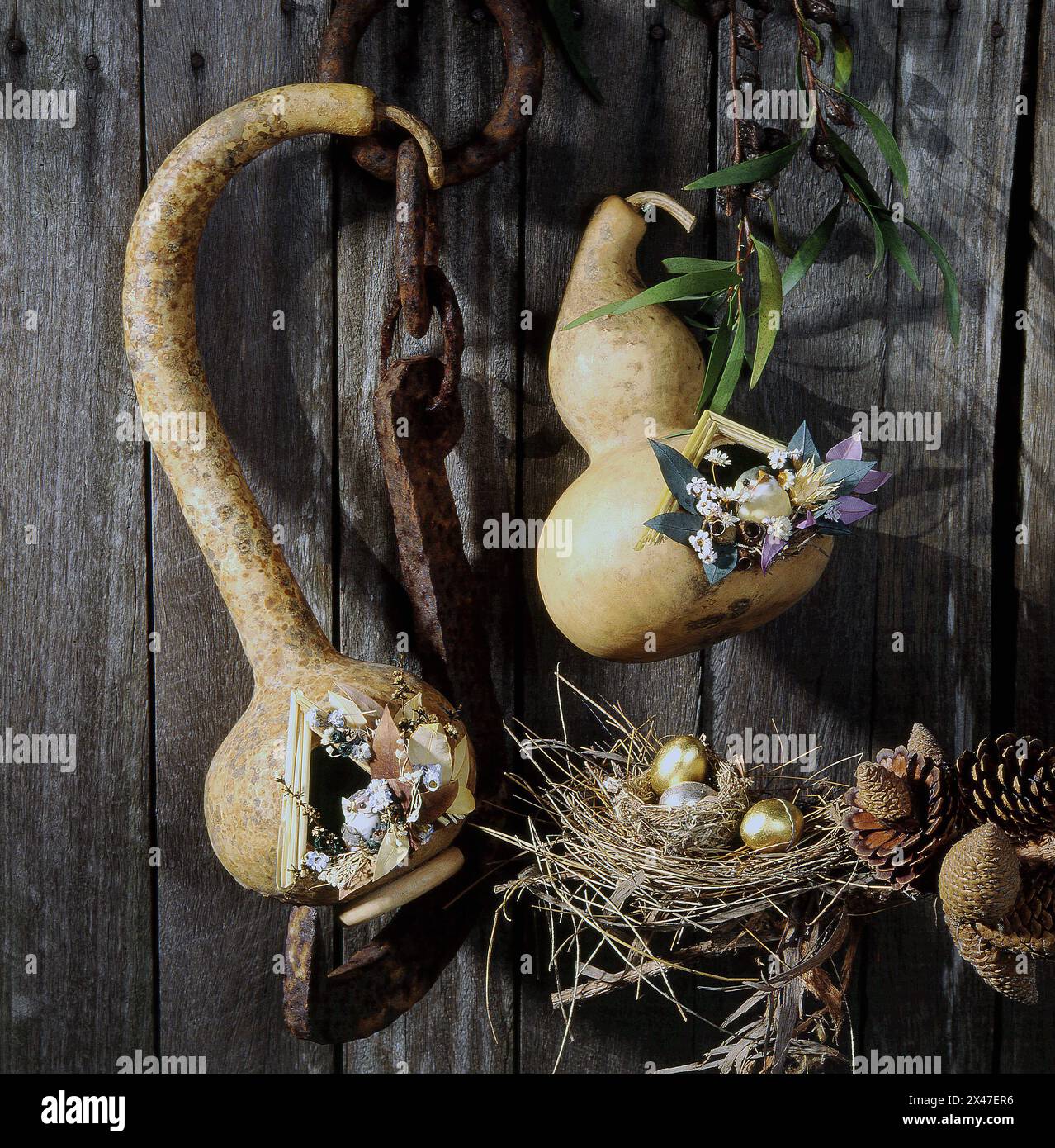 DECORATED GOURDS USED AS BIRDHOUSES HANGING FROM CHAIN ON A TIMBER FENCE. Stock Photo