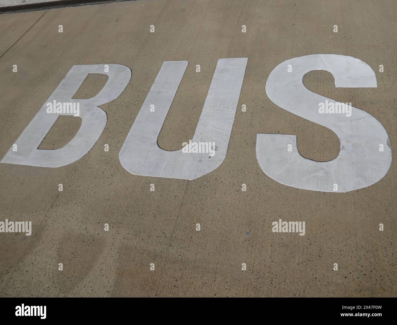 Bus sign painted on asphalt road surface Stock Photo