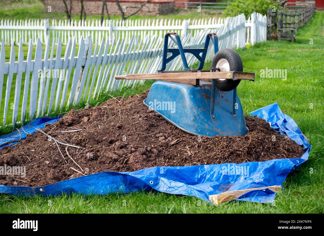 Beautiful rustic grass and white picket fence with a pile of garden soil on an outstretched blue tarp and an upturned weathered blue metal wheelbarrow Stock Photo