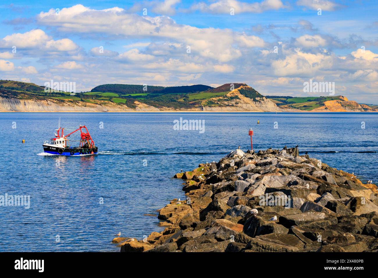 A colourful fishing boat returning to Lyme Regis harbour on the ...