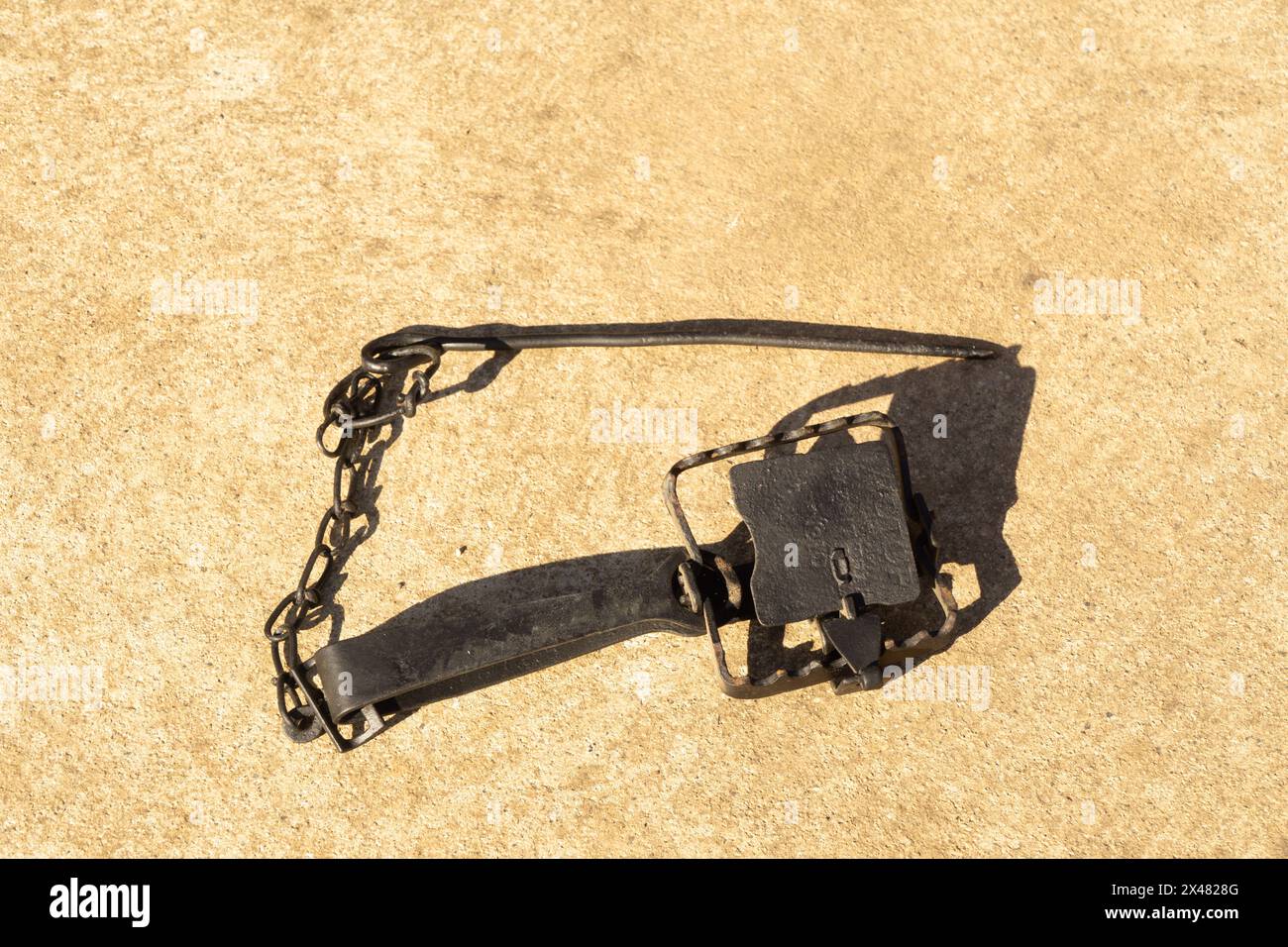 Metal Rabbit traps were once very common and used to control rabbit