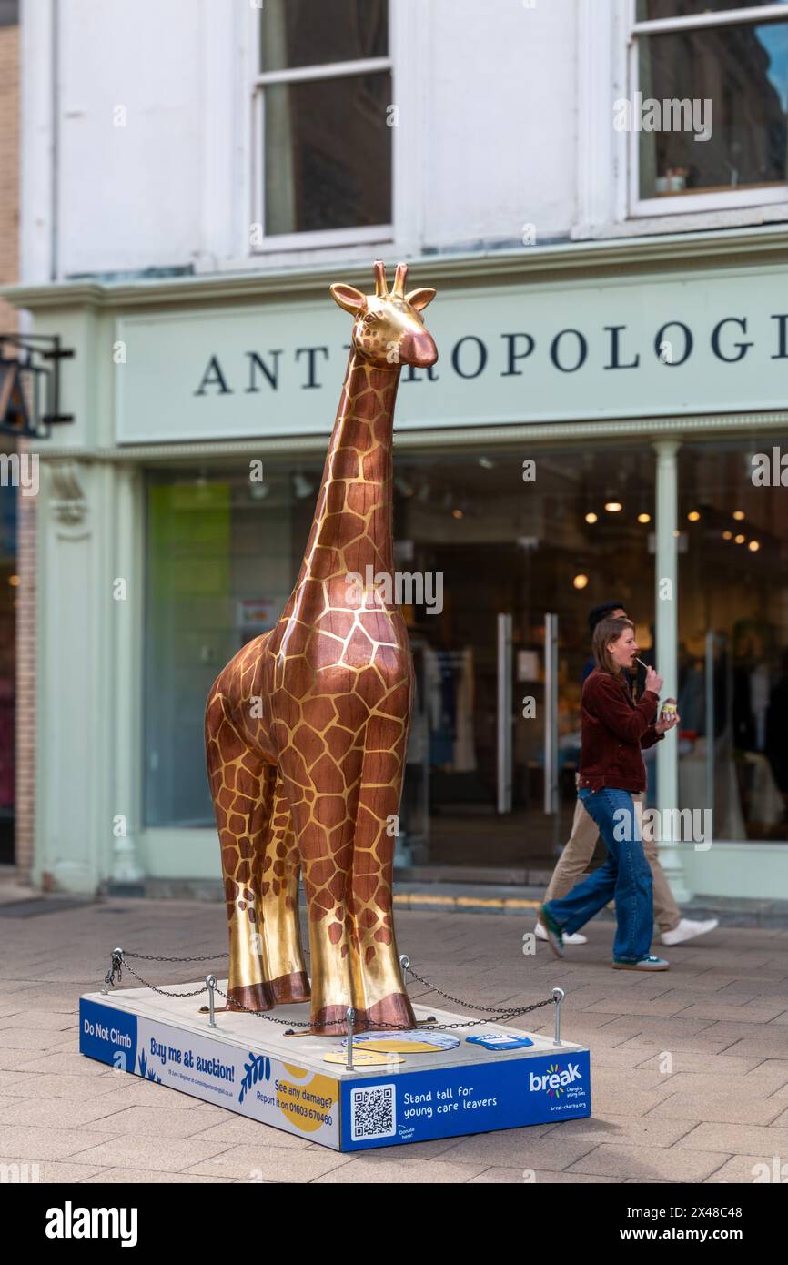 Large giraffe statue on the pavement in front of Anthropologie shop. Part of a sculpture trail in Cambridge, England, UK Stock Photo