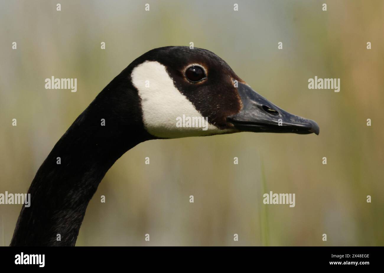 30th april 2024 hi-res stock photography and images - Alamy