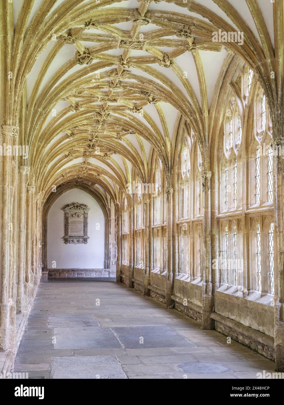 The medieval Gothic cloisters of Wells Cathedral in Somerset UK Stock Photo