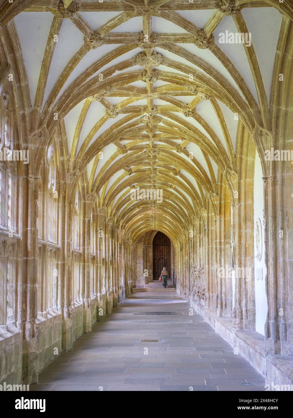The medieval Gothic cloisters of Wells Cathedral in Somerset UK Stock Photo