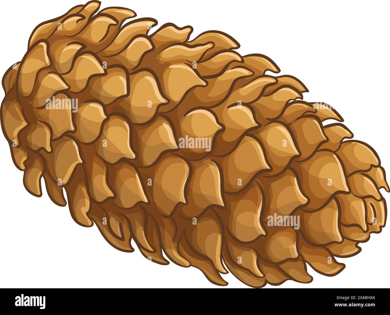 Conifer tree illustration hi-res stock photography and images - Alamy