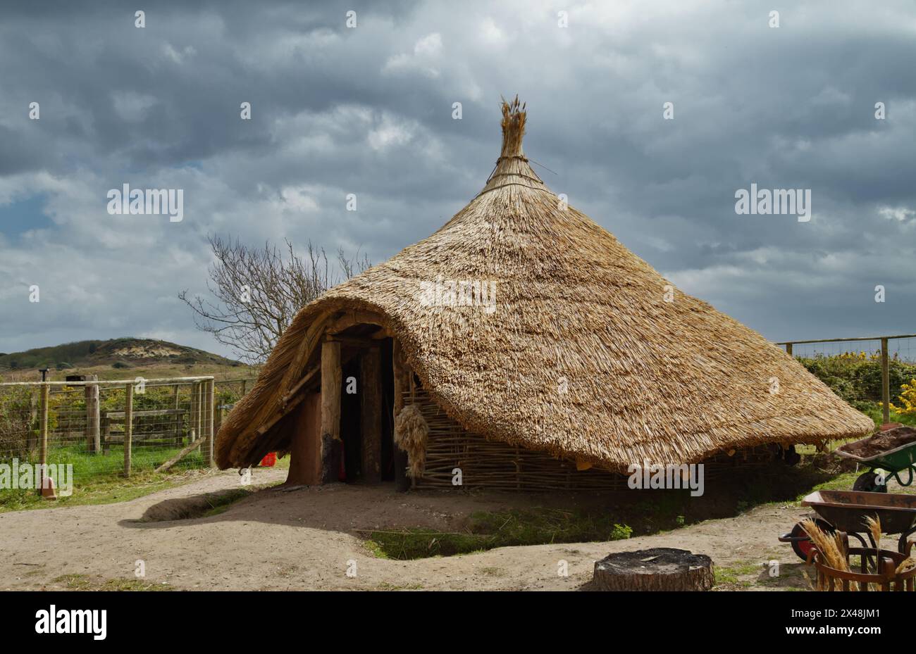 Exterior Of An Iron Age Roundhouse With Conical Thatched Roof Under Construction, Hengistbury Head, UK Stock Photo