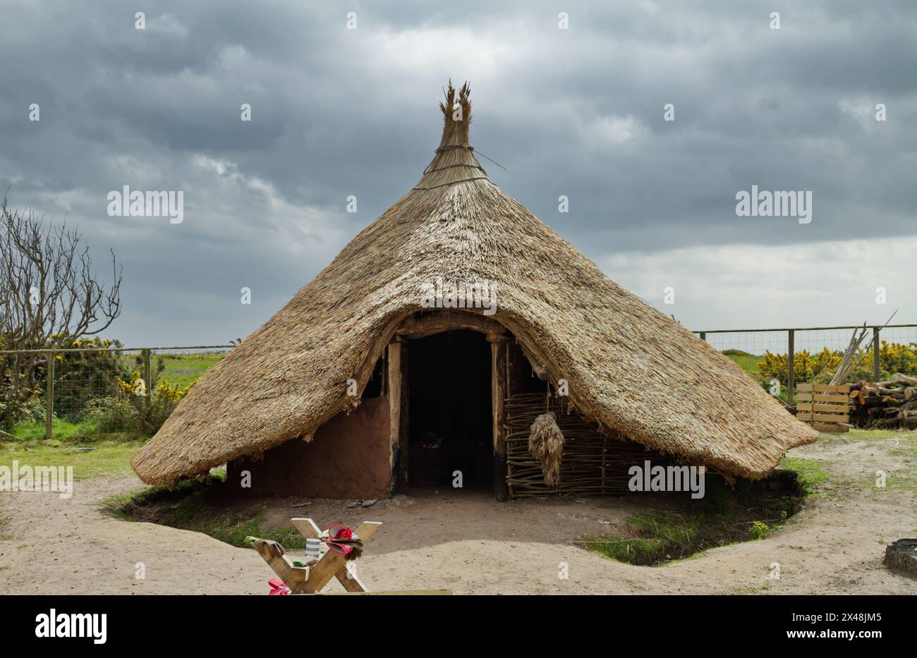 Reconstruction Of An Iron Age Roundhouse With Thatched Conical Roof And Partly Finished Wattle And Daub Walls, Hengistbury Head,UK Stock Photo