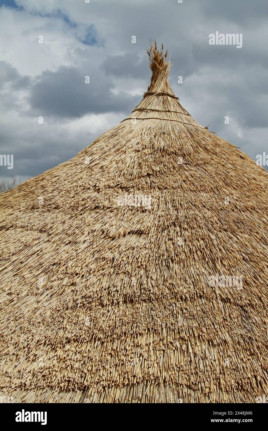 Detail Of The Conical Shaped Thatched Roof Of A Reconstruction Of An Iron Age House Being Built At Hengistbury Head, UK Stock Photo