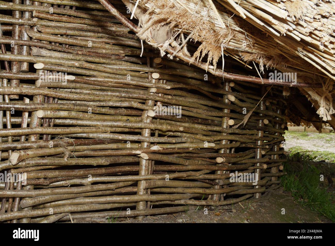 Wattle Wall Of Interwoven Sticks Before Daub Has Been Applied Of A Reconstruction Of An Iron Age Roundhouse Replica, Hengistbury Head, UK Stock Photo