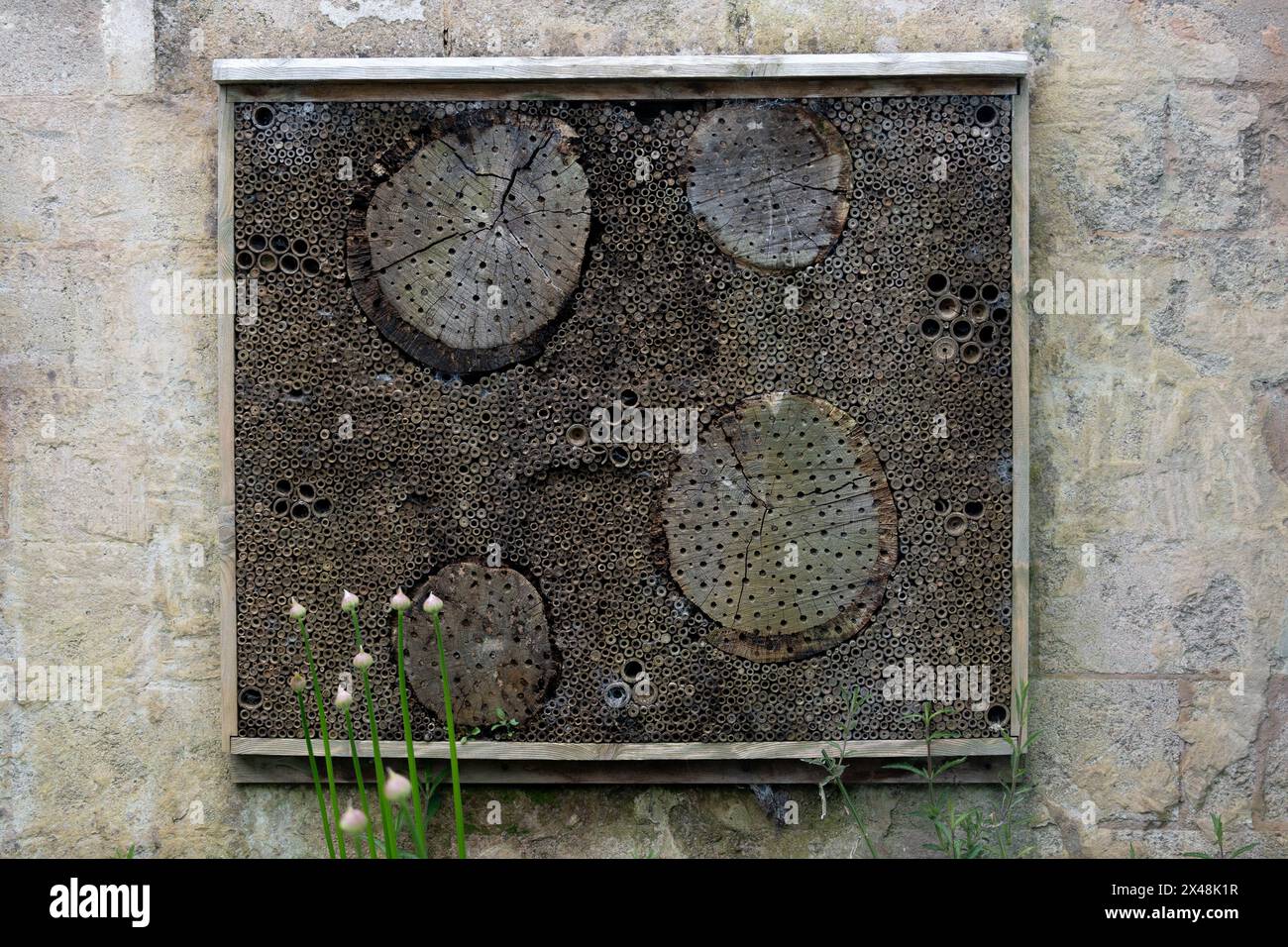 A bee hotel in Jephson Gardens, Leamington Spa, Warwickshire, England, UK Stock Photo