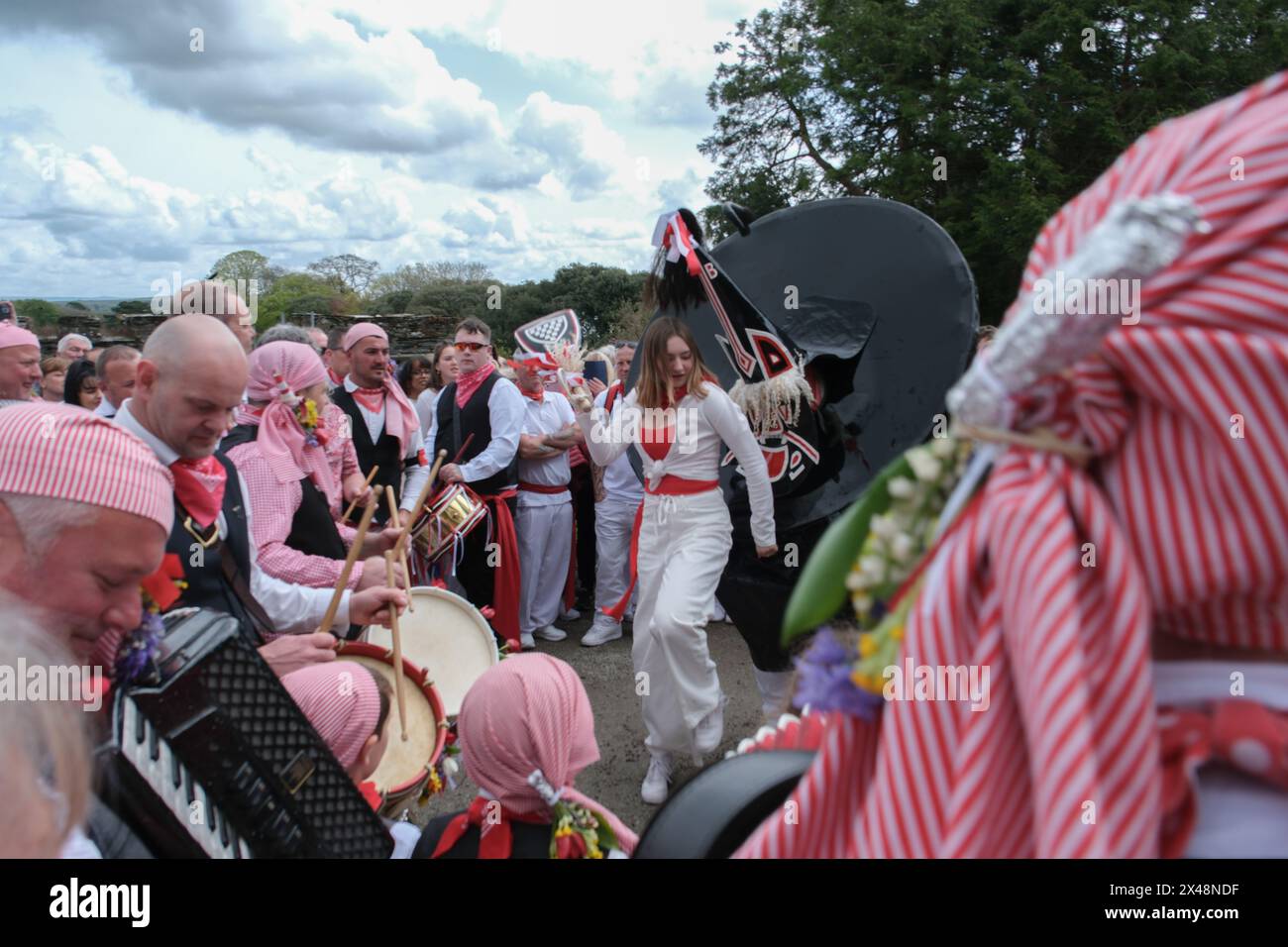 Padstow, Cornwall, UK. 1st May 2024. May Day celebrations. The Obby Oss continues the mayday celebtrations outside Prideaux place in Padstow. Credit Simon Maycock / Alamy Live News. Stock Photo