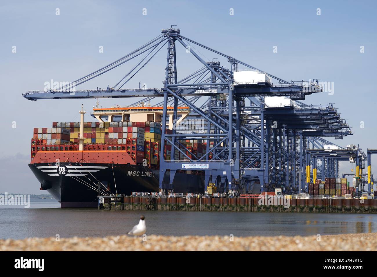 The World s Largest Cargo Ship MSC Loreto Docked At The Port Of the-world-s-largest-cargo-ship-msc-loreto-docked-at-the-port-of
