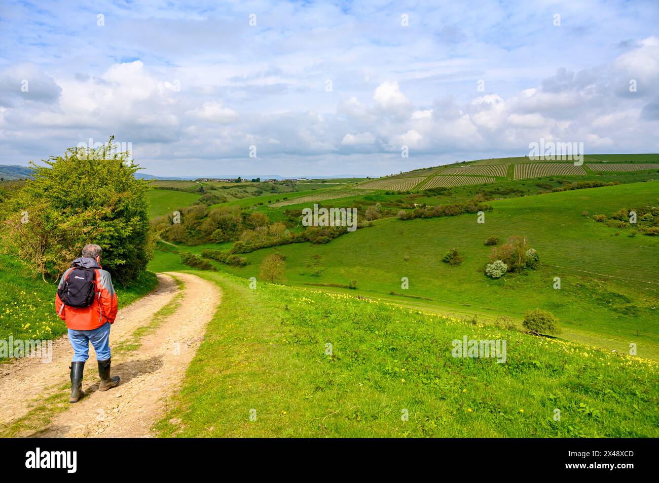 A man walks on a gravel road with views over green valley, wooded hills and farmland in South Downs National Park near Amberley, West Sussex, England. Stock Photo