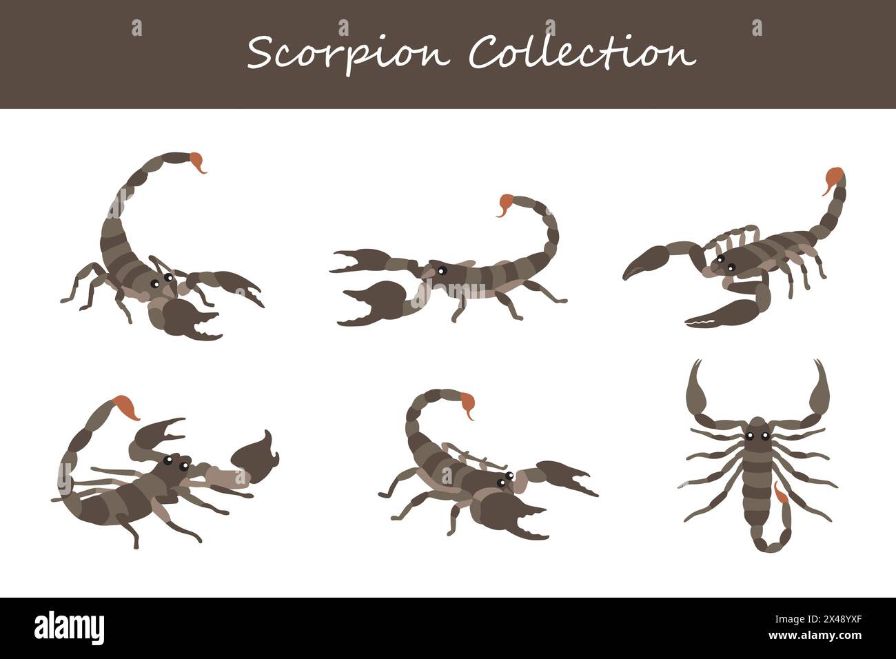 Scorpion collection. Scorpion in different poses. Vector illustration. Stock Vector