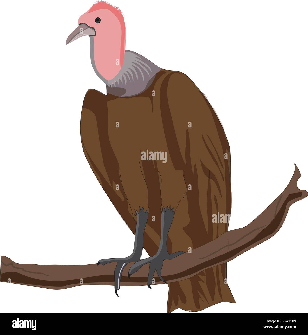 Eagle sitting on a branch Stock Vector