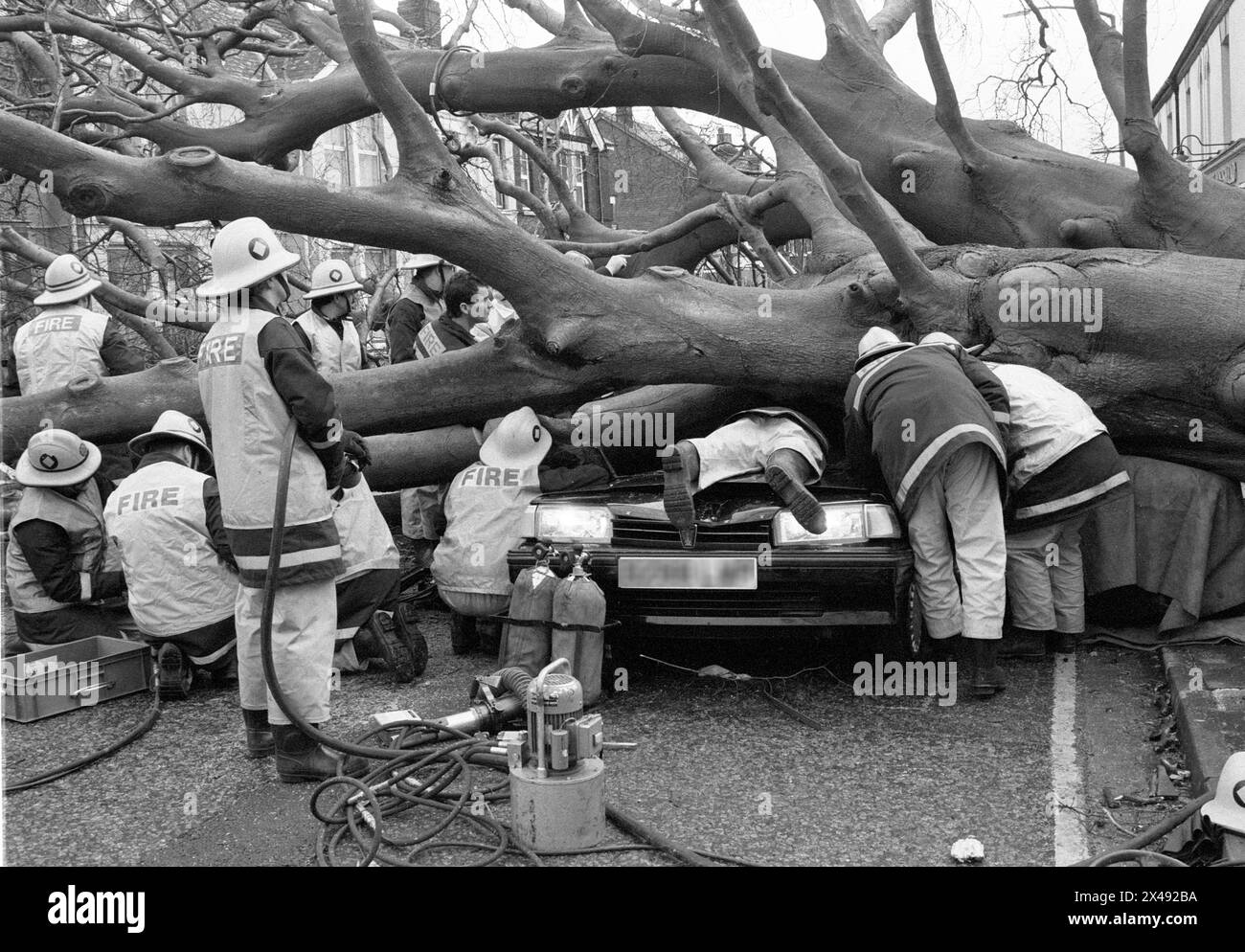 An archive newspaper image of Fire crews and Poilce rushing to save a driver in a car partially crushed under a fallen tree during the great storm in January 1990. Stock Photo