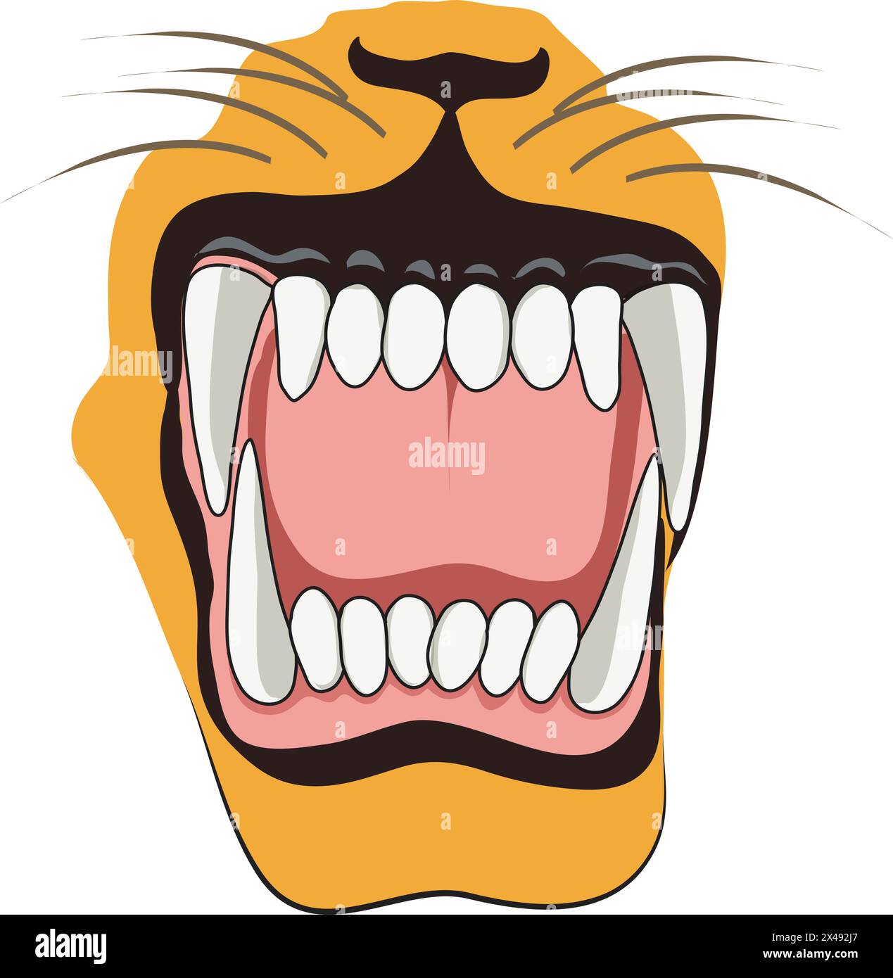 Illustration showing teeth and whiskers of a lion Stock Vector Image