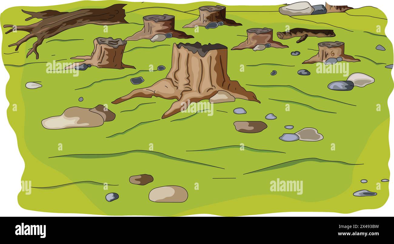 Vector cutted tree trunks in a forest Stock Vector