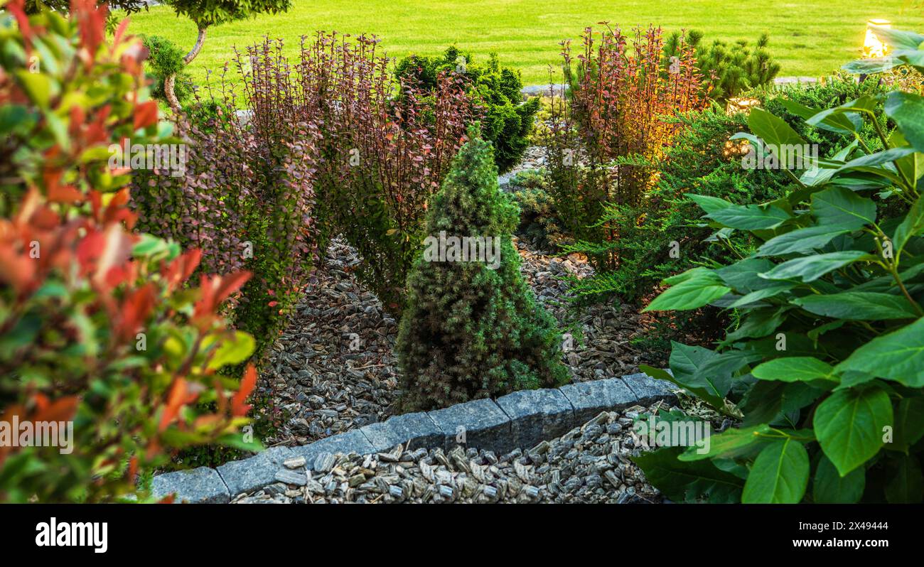 Small Rockery Garden Close Up Photo. Decorative Backyard Plants Stock Photo
