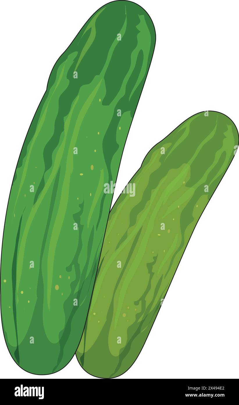 A pair of cucumbers Stock Vector