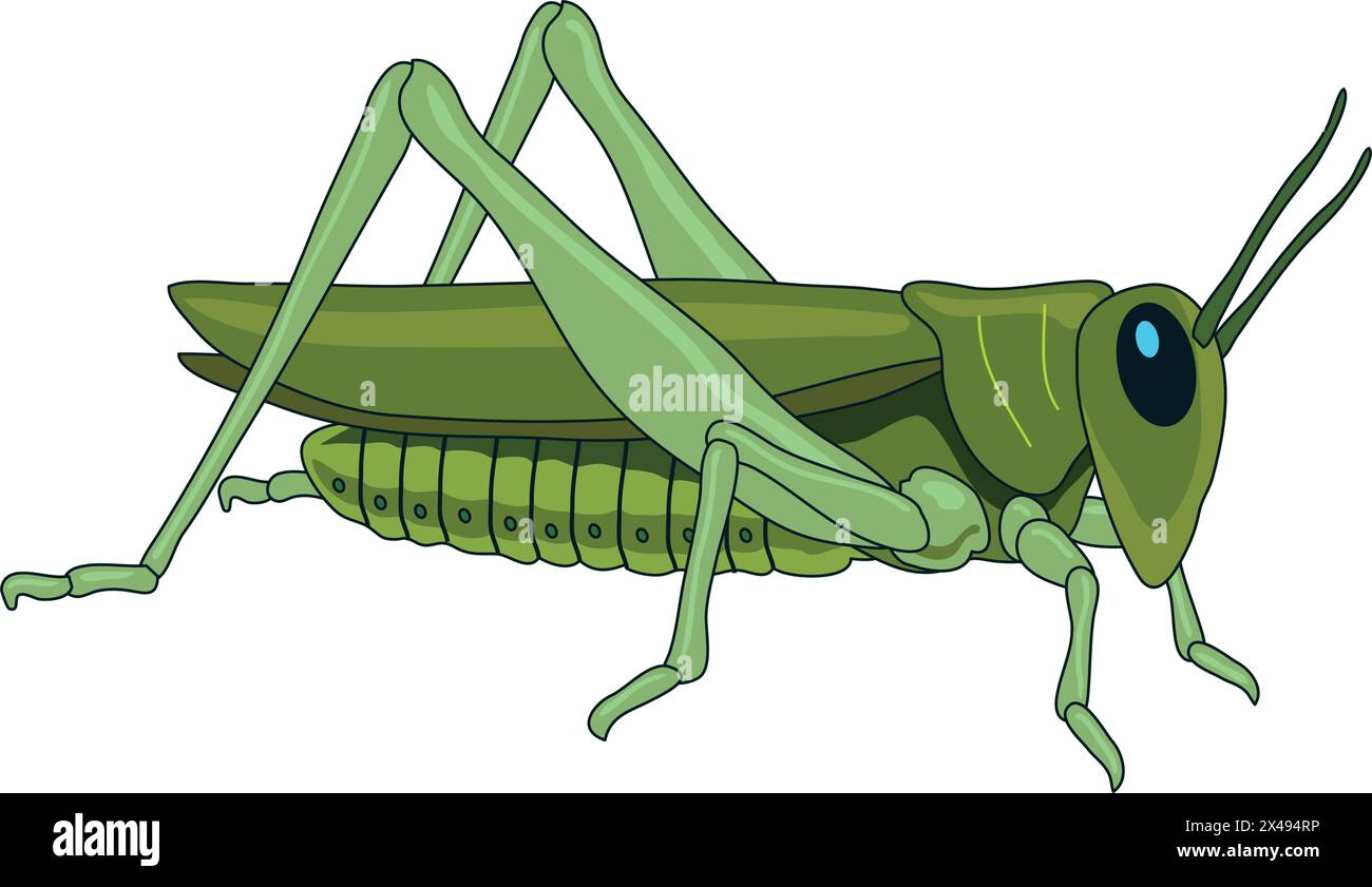 Cute grasshopper looking furiously Stock Vector