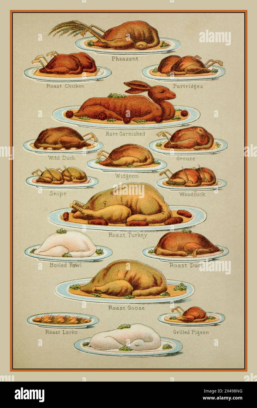 Victorian FOWL POULTRY GAME illustration of a variety of plated exotic Victorian game fowl and poultry dishes, including Pheasant, Partridge, Hare, Turkey, Duck, Goose, Pidgeon, Larks, Grouse and Woodcock etc. Stock Photo