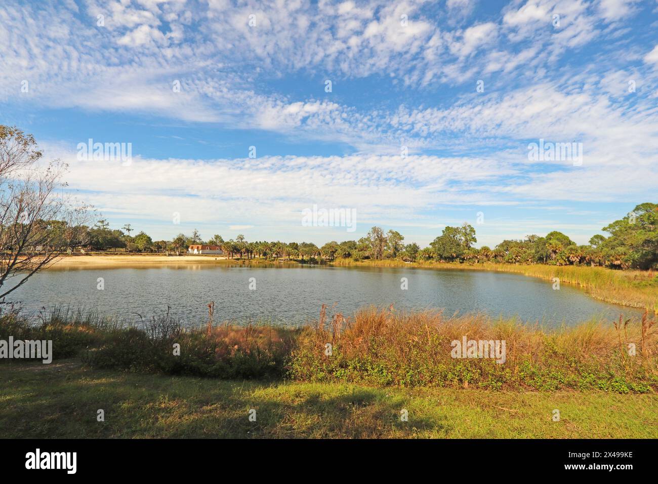 Lake and vegetation at Oscar Scherer State Park near Osprey, Florida ...