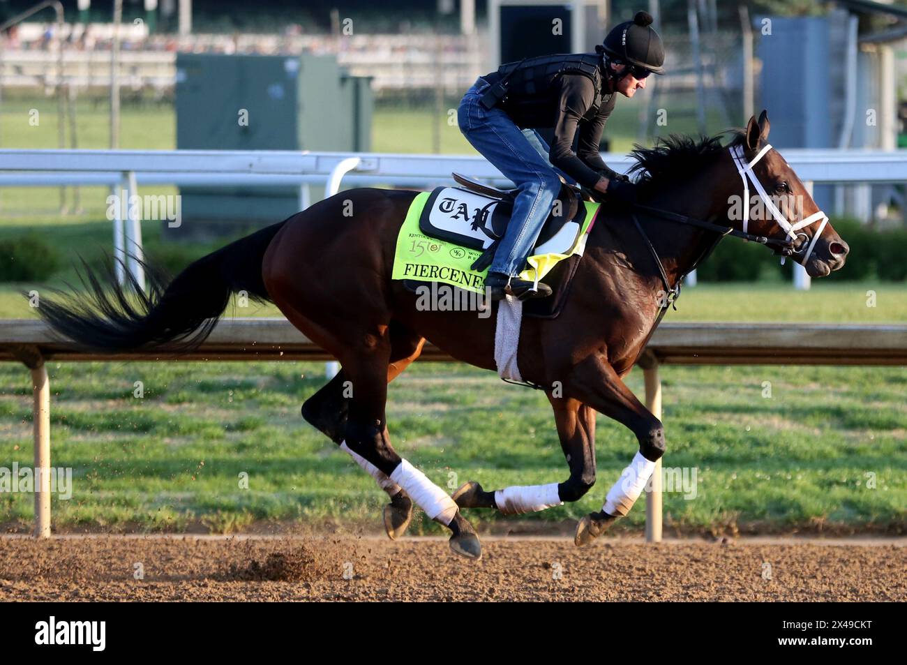 Kentucky Derby favorite Fierceness gallops on the track during morning