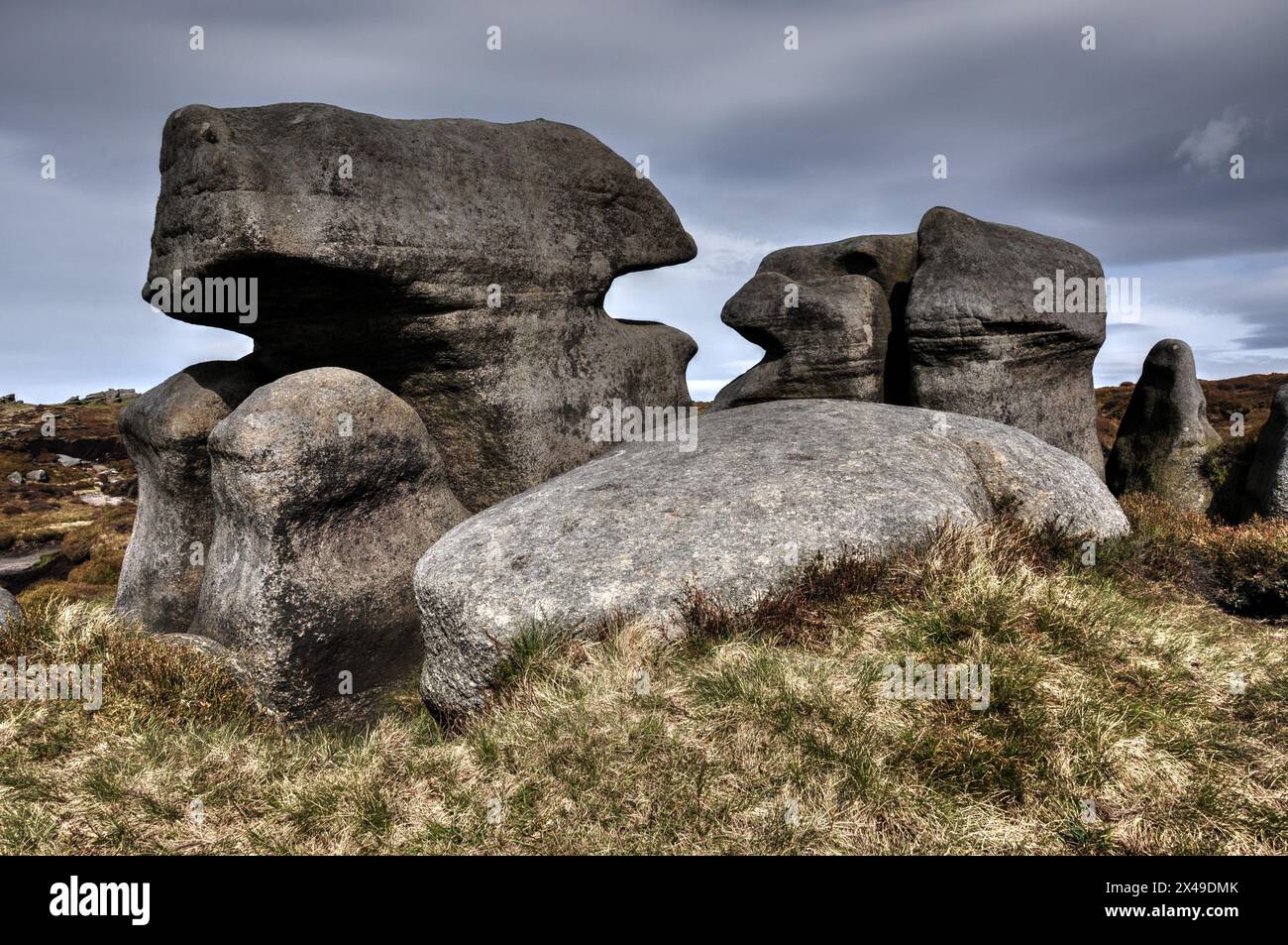 Massive, weird, eroded rock formations in the area known as The Woolpacks on Kinder Scout, Peak District. Looking like two lizards. Stock Photo