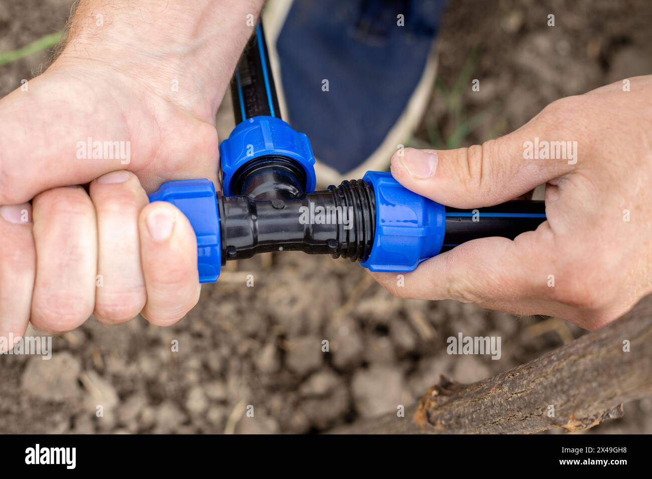 A man installs an automatic drip irrigation system for his garden