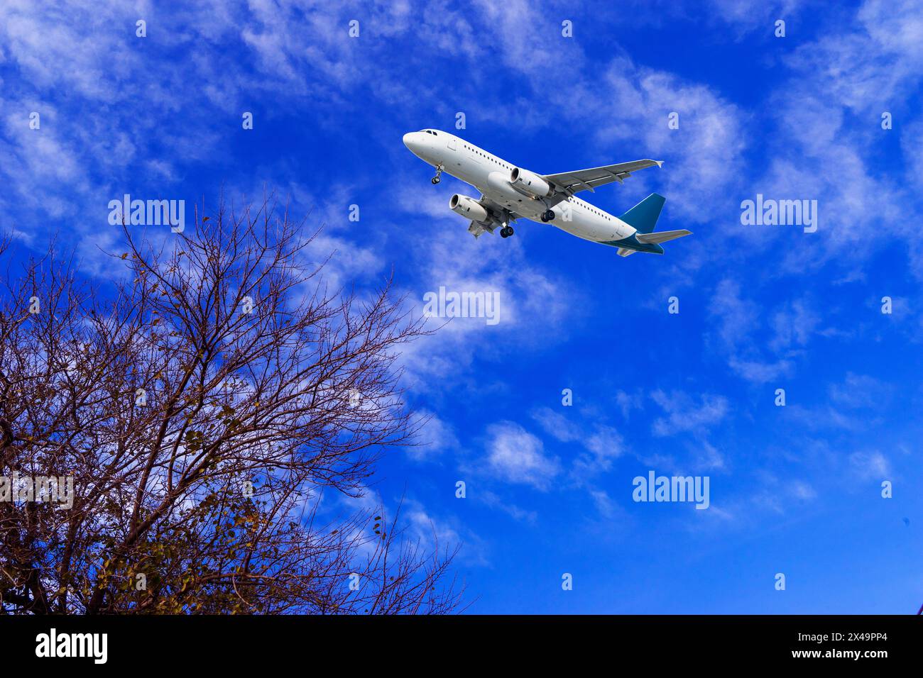 A passenger plane is flying in a beautiful blue sky with white clouds ...