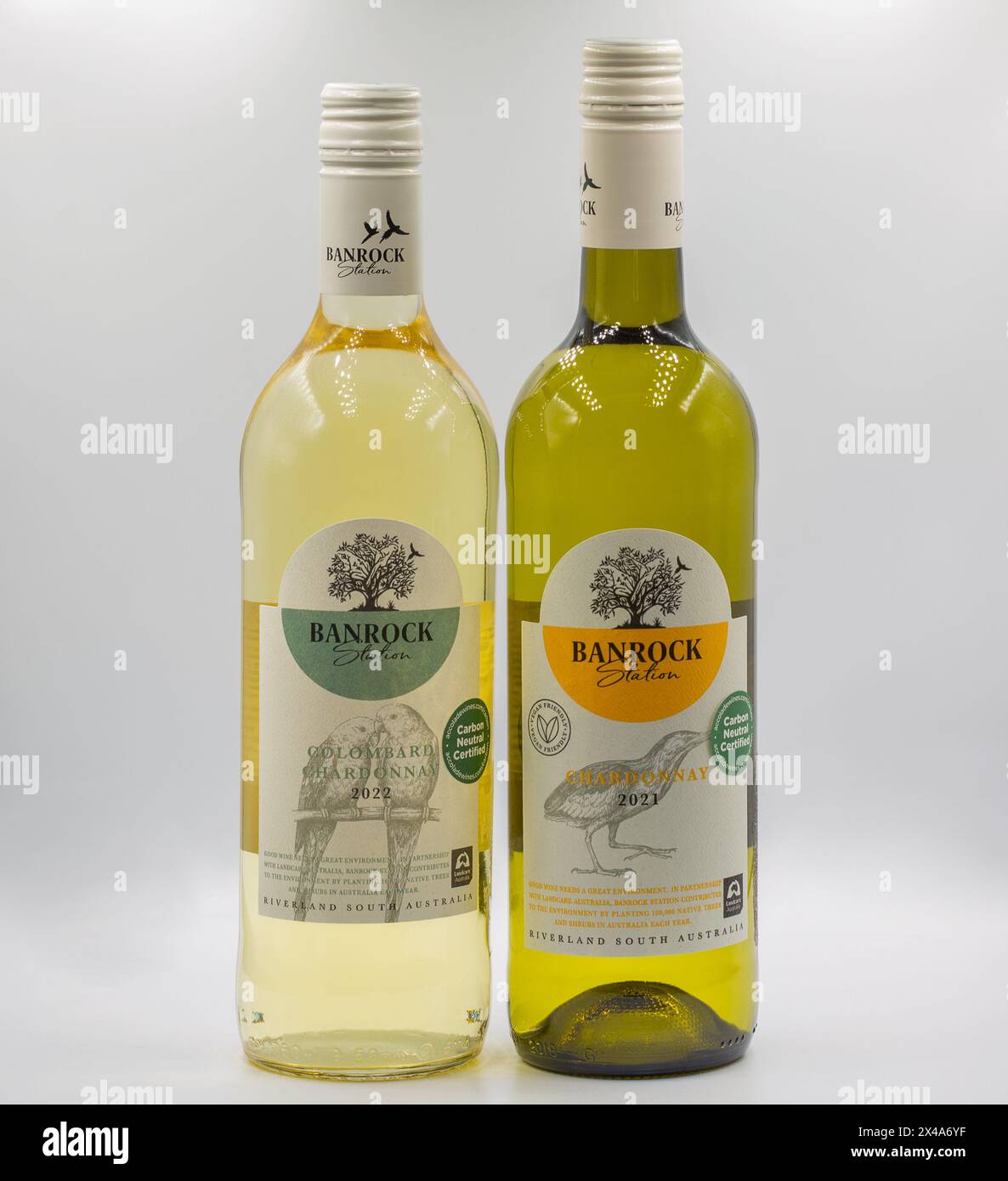 Kyiv, Ukraine - February 04, 2024: Studio shoot of set of Banrock Station Colombard Chardonnay and Chardonnay Australian white dry wine bottles closeu Stock Photo