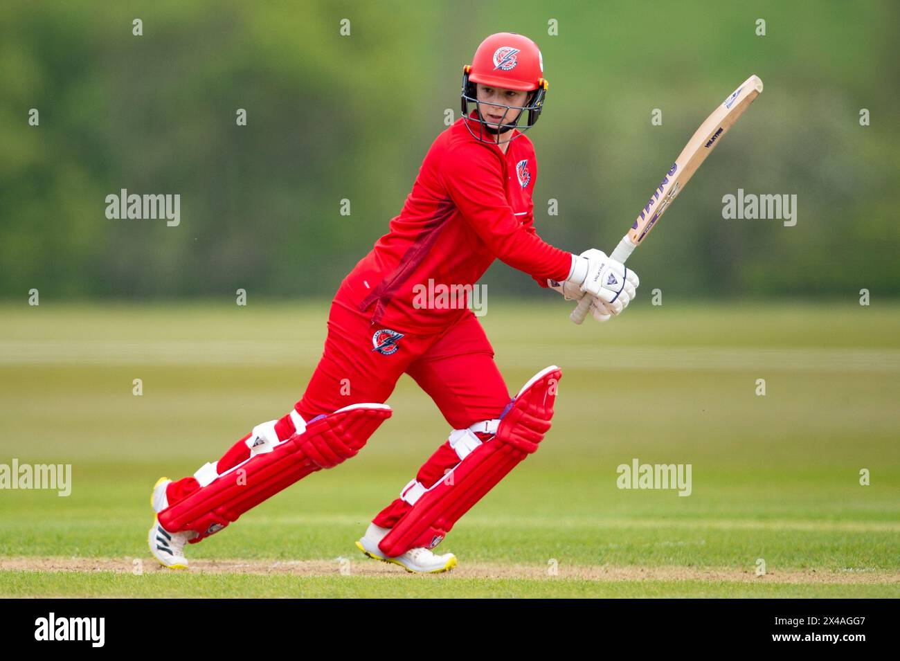 Stokenchurch, UK, 1st May 2024. Olivia Bell of Thunder batting during