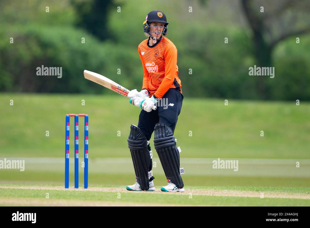 Stokenchurch, UK, 1st May 2024. Adams of Southern Vipers batting during the Rachael