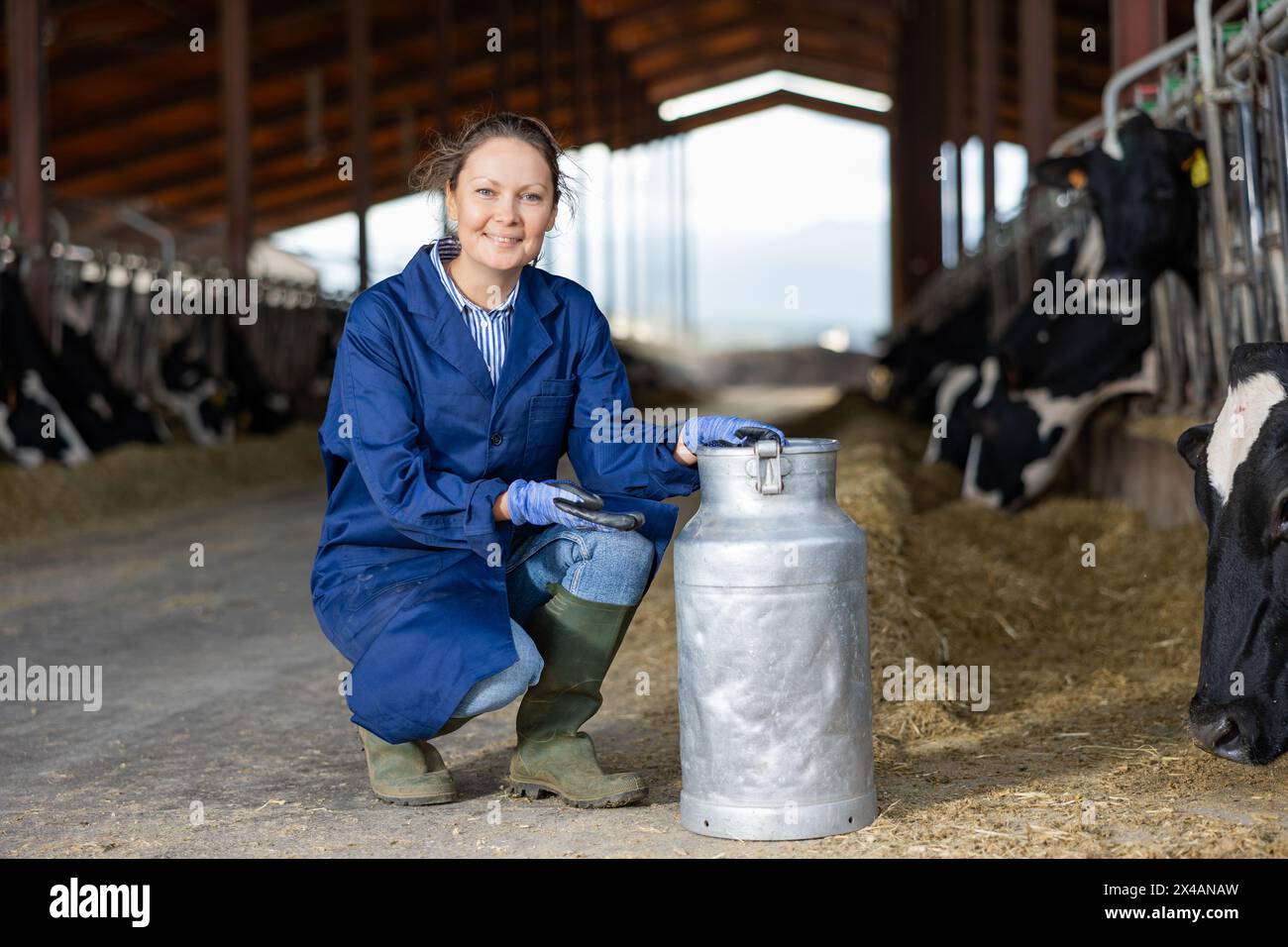 Woman farmer posing with can for milk in cowshed Stock Photo - Alamy
