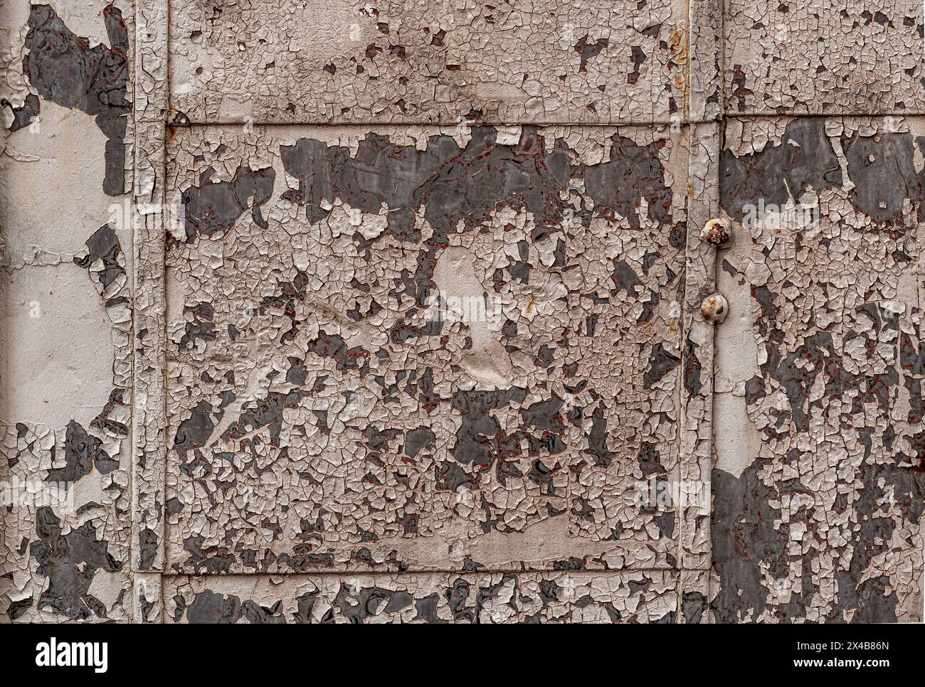 Paint peeling off a old delapidated Door.  good background image Stock Photo