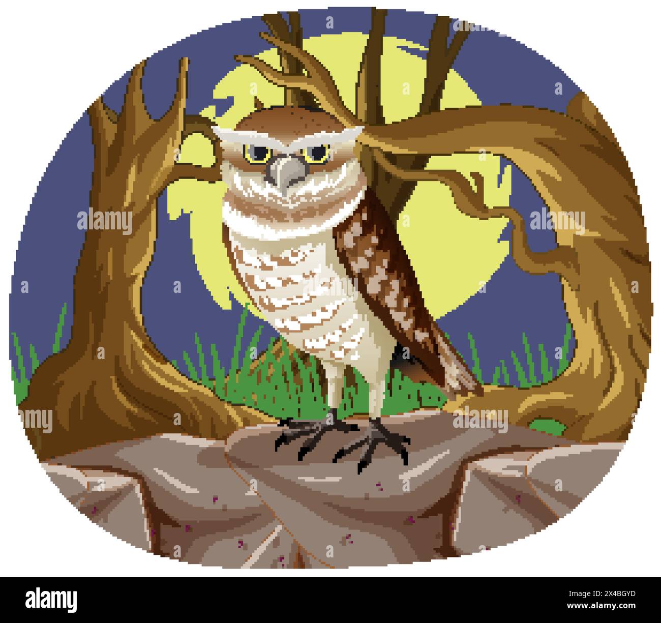 Illustration of an owl perched at night Stock Vector Image & Art - Alamy
