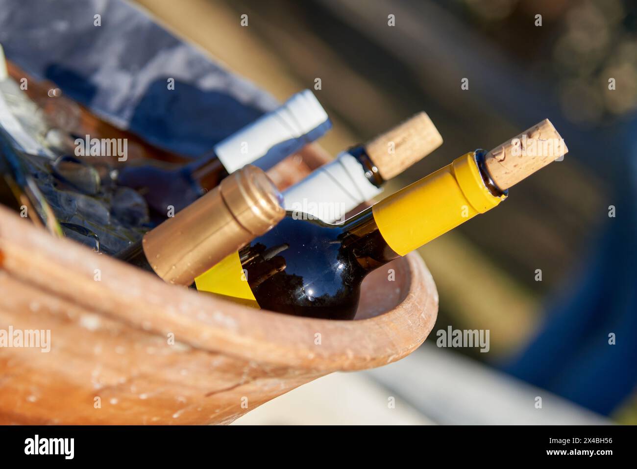 Bottles of wine chilling in a terracotta container with ice, ideal for
