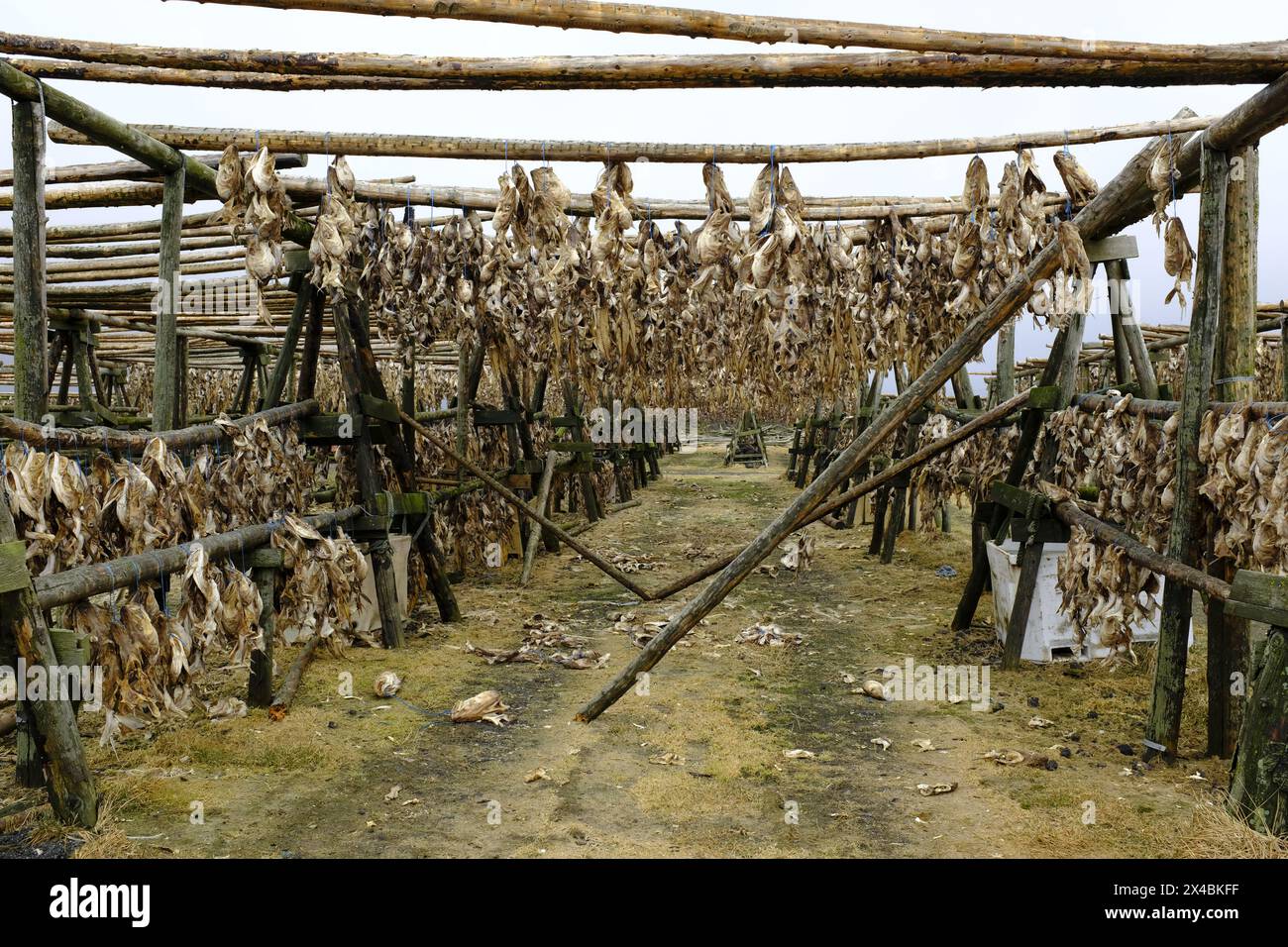 Drying racks for fish hi-res stock photography and images - Alamy