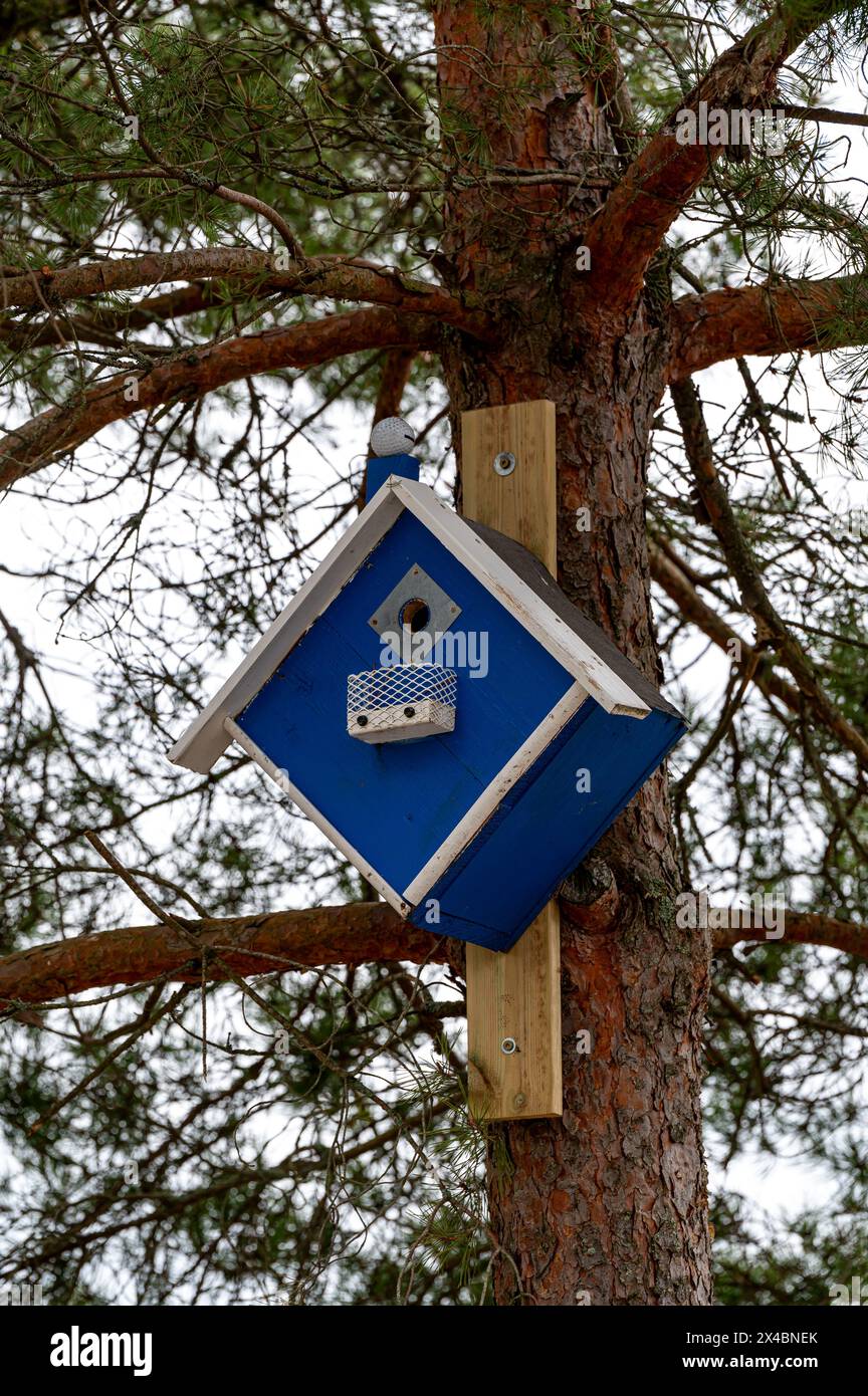 Bird house on tree trunk Kumla Sweden April 29 2024 Stock Photo