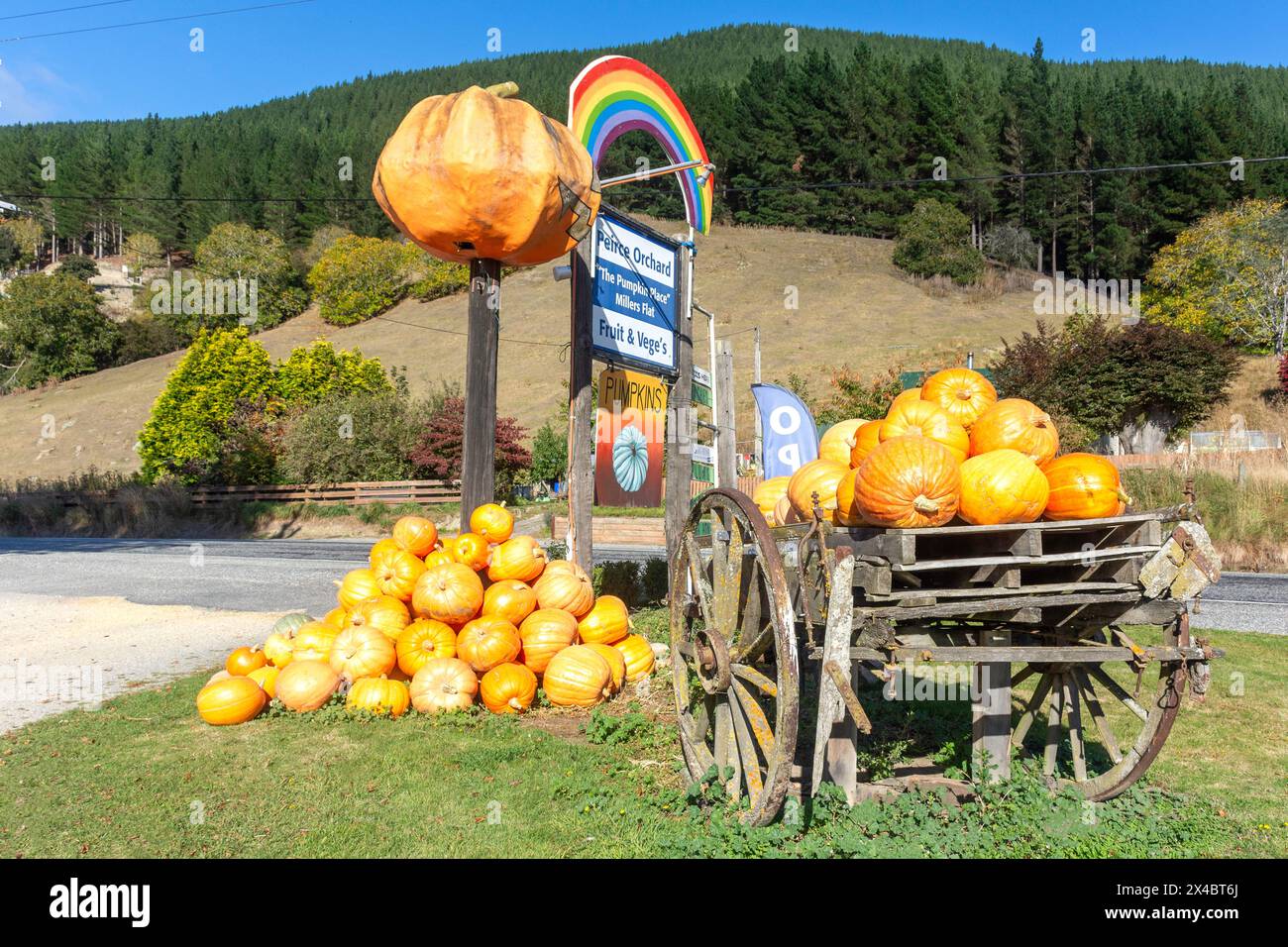 Autumn pumpkin display at Pierce Orchard, Ettrick-Raes Junction Road, Island Block, Otago, New Zealand Stock Photo