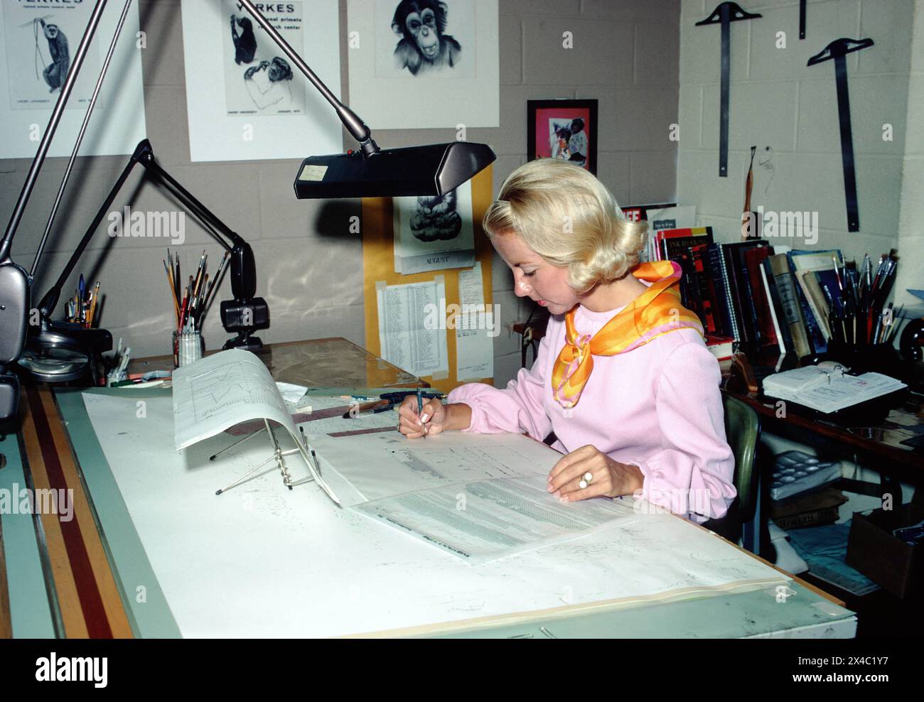 Grafikerin des Yerkes National Primate Research Center beim erstellen von Diagrammen in ihrem Atelier im Yerkes National Primate Research Center in Atlanta um 1971. / Graphic artist at the Yerkes National Primate Research Center creating diagrams in her studio at the Yerkes National Primate Research Center in Atlanta around 1971. *Aufnahmedatum geschätzt/Date estimated* snapshot-photography/A.Sidibe *** Graphic artist at the Yerkes National Primate Research Center creating diagrams in her studio at the Yerkes National Primate Research Center in Atlanta around 1971 Graphic artist at the Yerkes Stock Photo